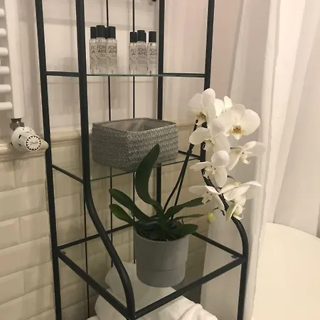 Stare Miasto Bednarska 10